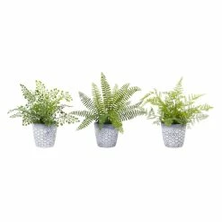New ✔️ 11.5" Potted Fern Set by Melrose 💯