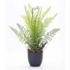 Hot Sale 🛒 18" Potted Fern Set by Melrose 🌟 -Melrose Shop D237536S 1