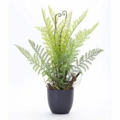 Hot Sale 🛒 18" Potted Fern Set by Melrose 🌟