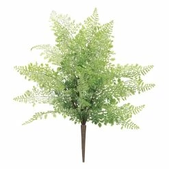 Discount 💯 Fern Bush Set by Melrose 😉