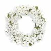 Coupon ⭐ 24.5" 🐶 Dogwood Wreath by Melrose 😍 -Melrose Shop D237580S 1