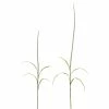 Wholesale 🌟 Green & White Foxtail Stem Set, 39" & 52" by Melrose ⌛ -Melrose Shop D237607S 1