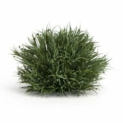 Best reviews of 👏 6.5" Decorative Floral Half Orb Set by Melrose ❤️