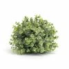 Buy 🎁 7" Green Boxwood Half Orb, 6ct. by Melrose ✨ -Melrose Shop D237622S 1