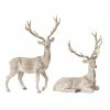 Top 10 ⌛ Brown Deer Tabletop Accent Set, 14.5" & 17.5" by Melrose 🎁 -Melrose Shop D254840S 1