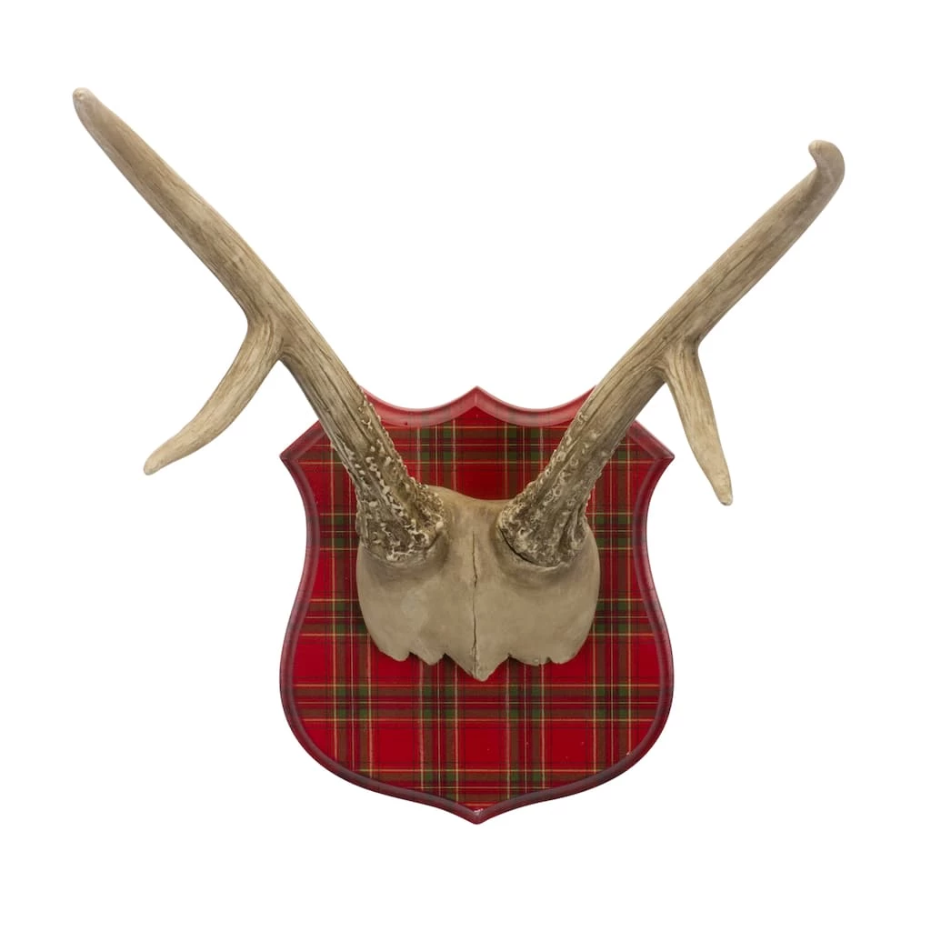 Top 10 π€© 18" Resin Antler Mount Set by Melrose π 4 Top 10 π€© 18" Resin Antler Mount Set by Melrose π - Image 2