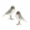 Best reviews of π 5" Bird Figurines by Melrose π 2 Best reviews of π 5" Bird Figurines by Melrose π -Melrose Shop D663162S 1
