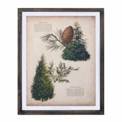 Best reviews of π― 15.25" Pine Print Frame Set by Melrose π 9 Best reviews of π― 15.25" Pine Print Frame Set by Melrose π -Melrose Shop D663263S 3