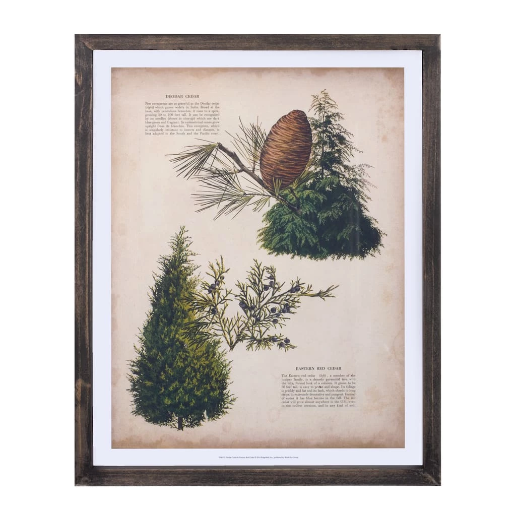 Best reviews of π― 15.25" Pine Print Frame Set by Melrose π 5 Best reviews of π― 15.25" Pine Print Frame Set by Melrose π - Image 3