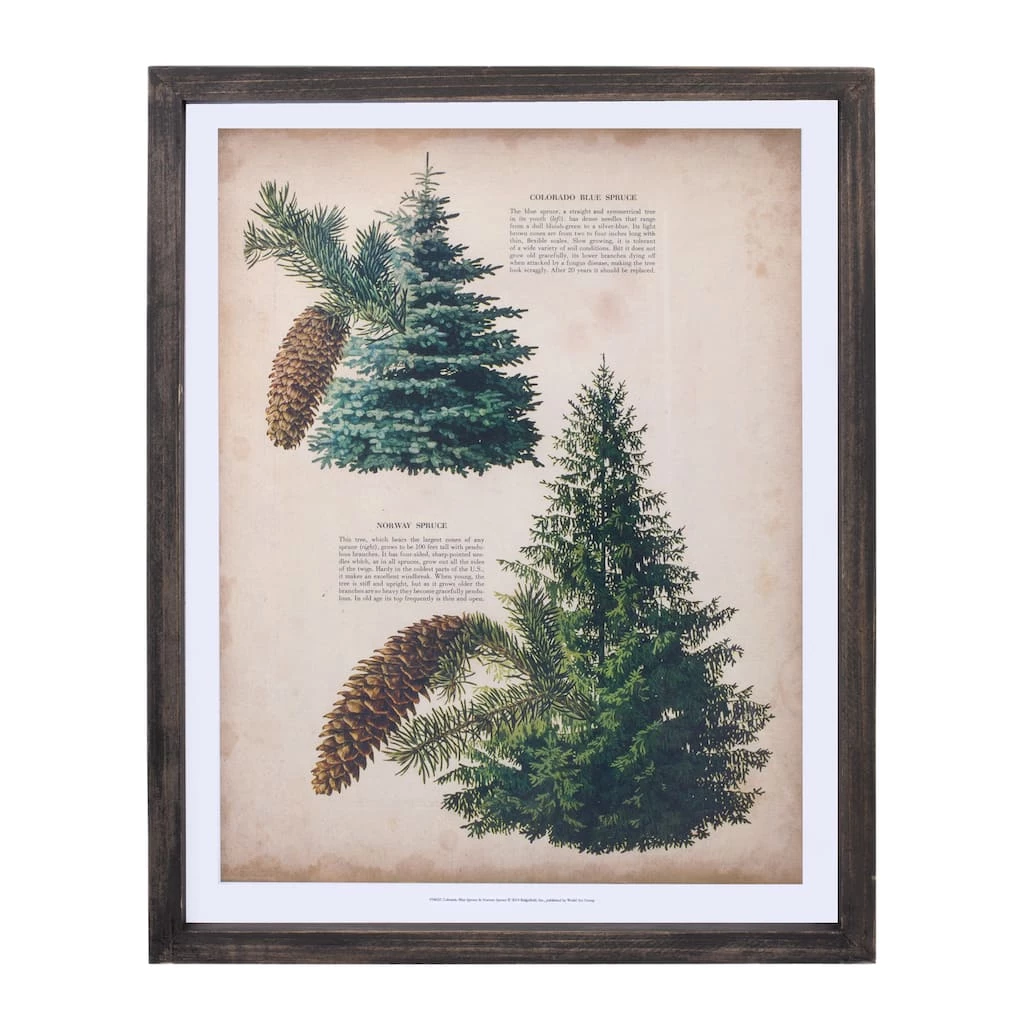 Best reviews of π― 15.25" Pine Print Frame Set by Melrose π 6 Best reviews of π― 15.25" Pine Print Frame Set by Melrose π - Image 4