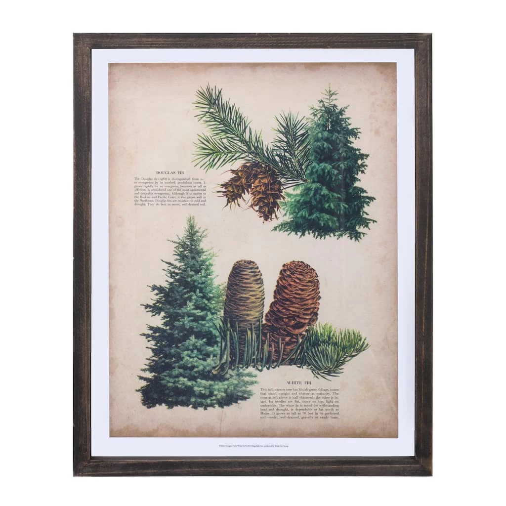 Best reviews of π― 15.25" Pine Print Frame Set by Melrose π 7 Best reviews of π― 15.25" Pine Print Frame Set by Melrose π - Image 5